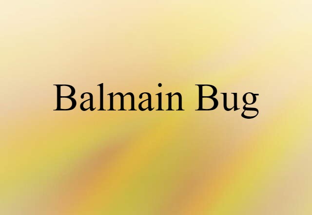 Balmain bug