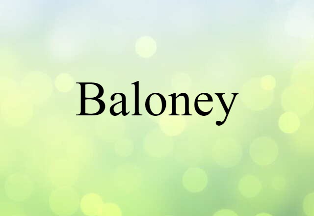 Baloney (noun) Definition, Meaning & Examples