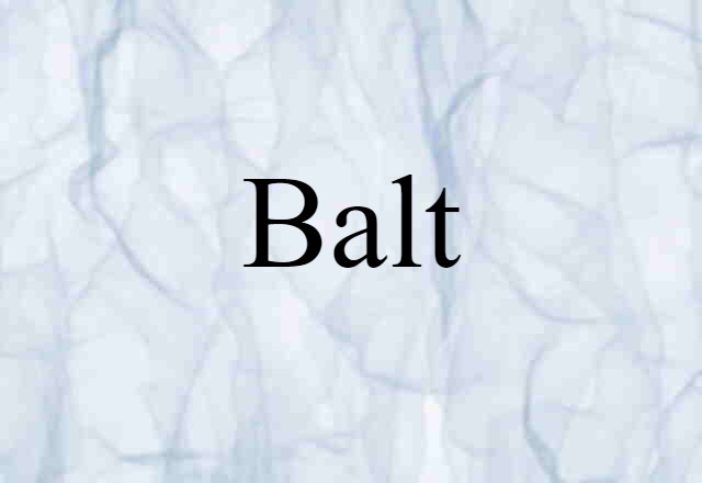 Balt (noun) Definition, Meaning & Examples