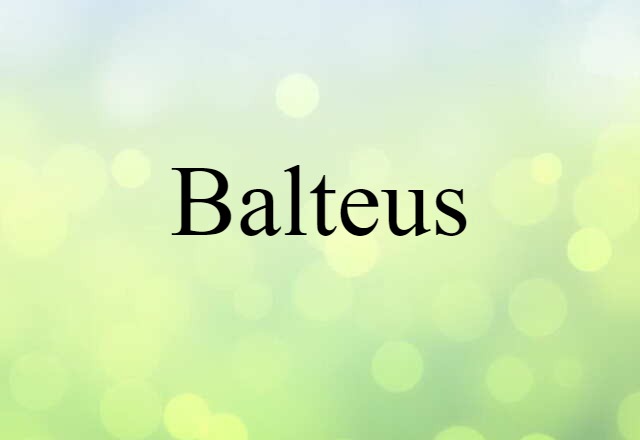 balteus