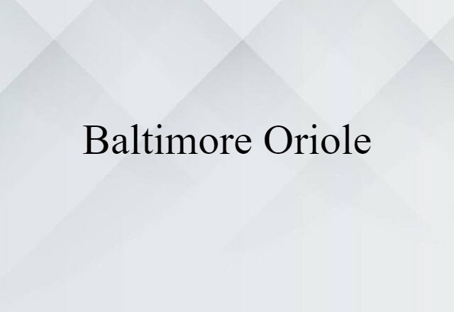 Baltimore Oriole (noun) Definition, Meaning & Examples