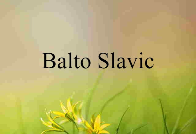 Balto-Slavic (noun) Definition, Meaning & Examples