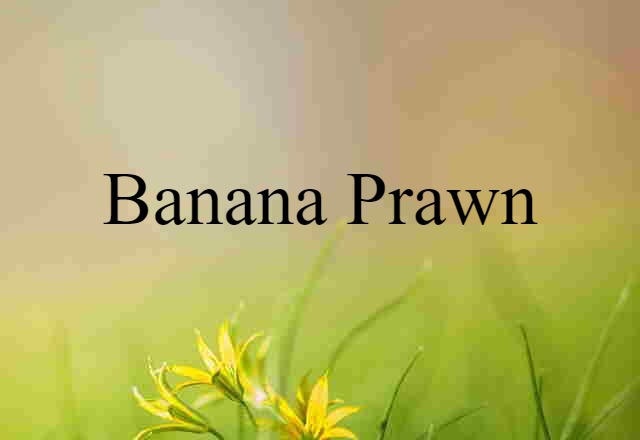 Banana Prawn (noun) Definition, Meaning & Examples