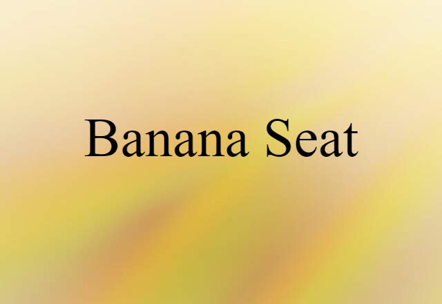 Banana Seat (noun) Definition, Meaning & Examples