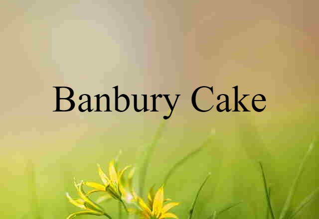 Banbury Cake (noun) Definition, Meaning & Examples