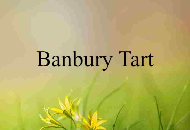 Banbury Tart (noun) Definition, Meaning & Examples