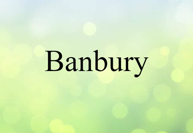 Banbury (noun) Definition, Meaning & Examples