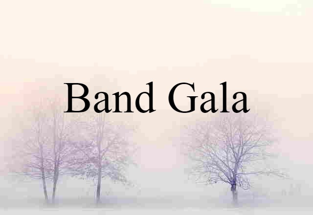 Band-gala (noun) Definition, Meaning & Examples