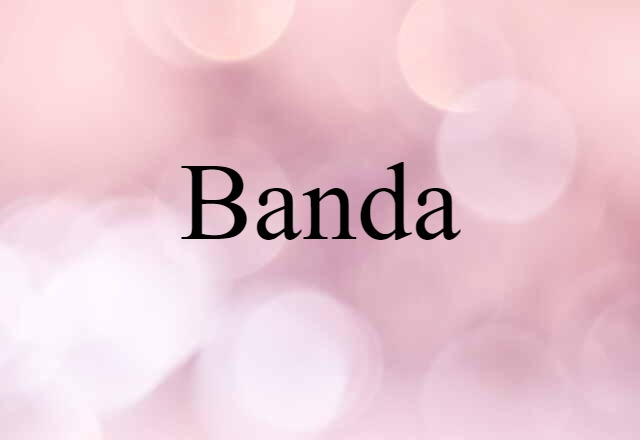 Banda (noun) Definition, Meaning & Examples