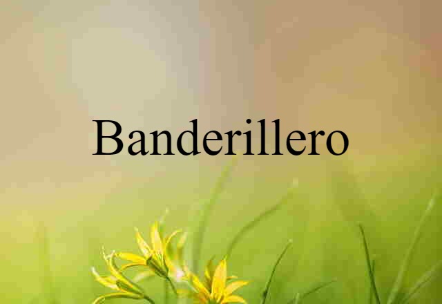 banderillero