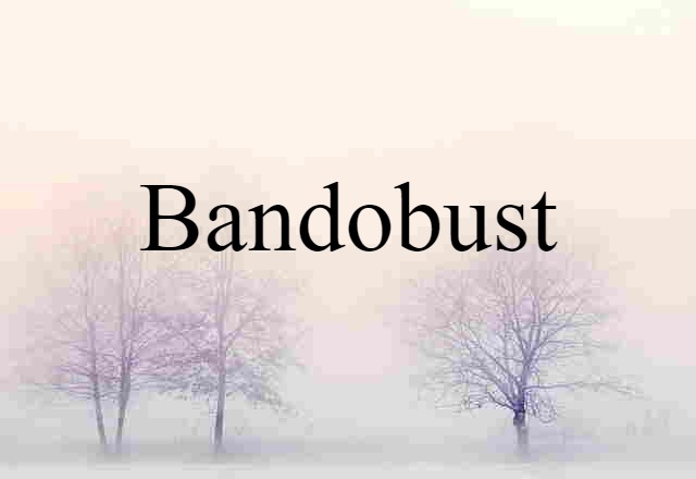 Bandobust (noun) Definition, Meaning & Examples