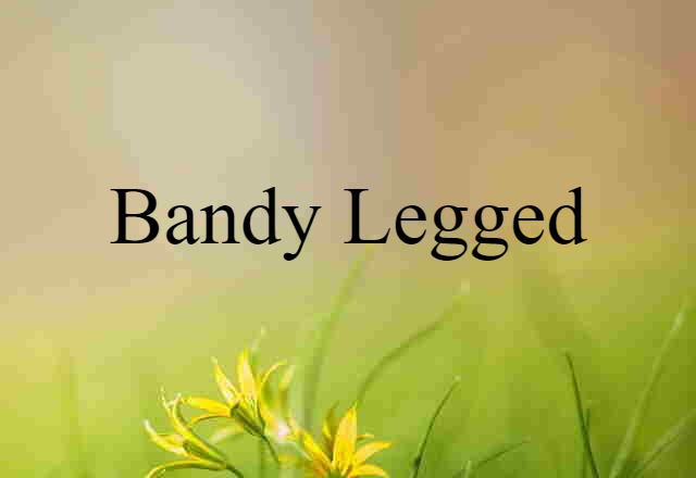 Bandy-legged (noun) Definition, Meaning & Examples