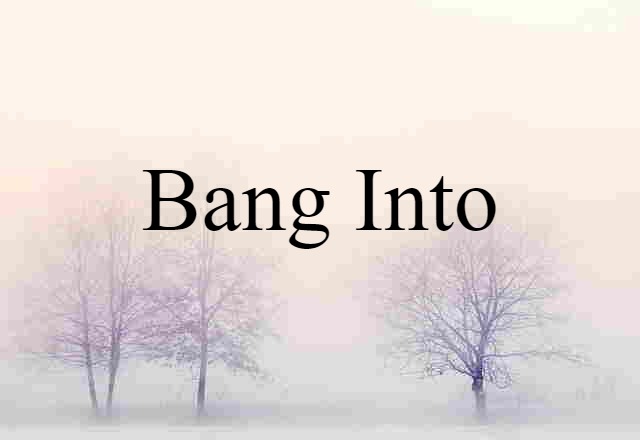 Bang Into (noun) Definition, Meaning & Examples