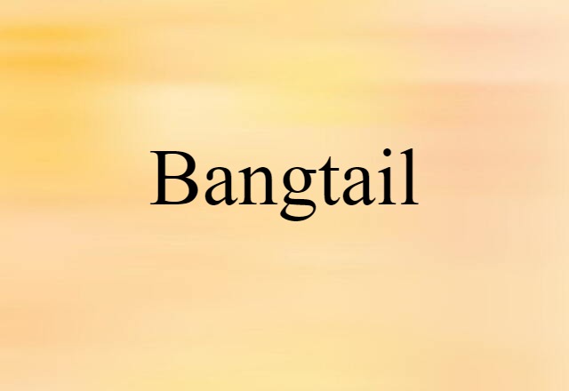 bangtail