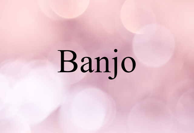 Banjo (noun) Definition, Meaning & Examples