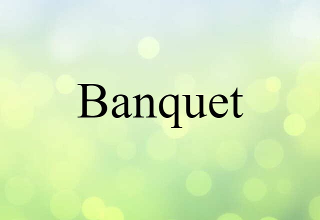 Banquet (noun) Definition, Meaning & Examples