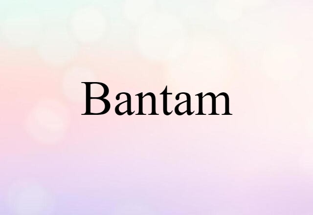 Bantam (noun) Definition, Meaning & Examples