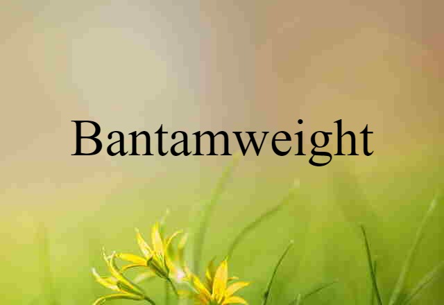 Bantamweight (noun) Definition, Meaning & Examples