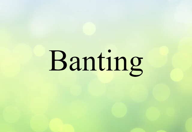 Banting (noun) Definition, Meaning & Examples