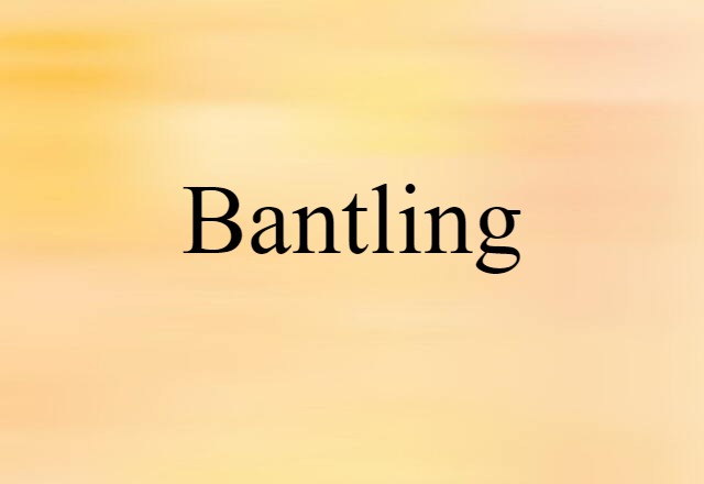 Bantling (noun) Definition, Meaning & Examples