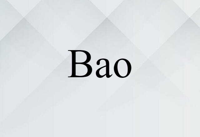 Bao (noun) Definition, Meaning & Examples