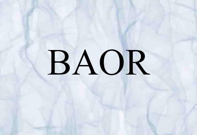 BAOR (noun) Definition, Meaning & Examples