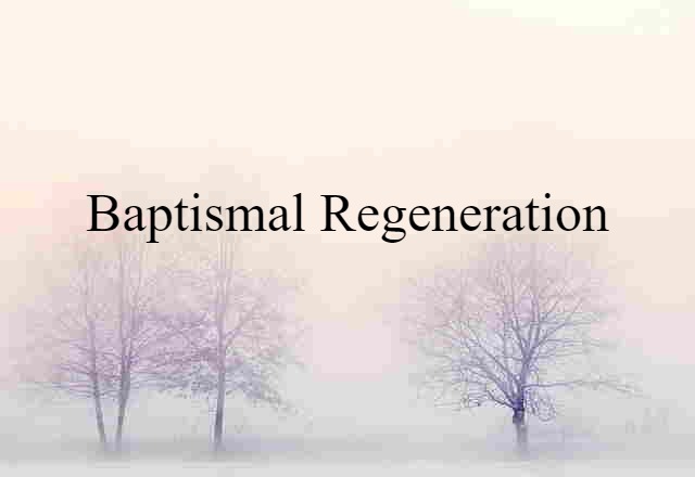 Baptismal Regeneration (noun) Definition, Meaning & Examples