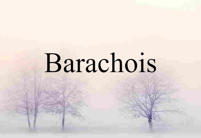 Barachois (noun) Definition, Meaning & Examples