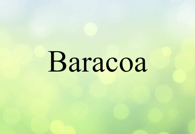 Baracoa (noun) Definition, Meaning & Examples