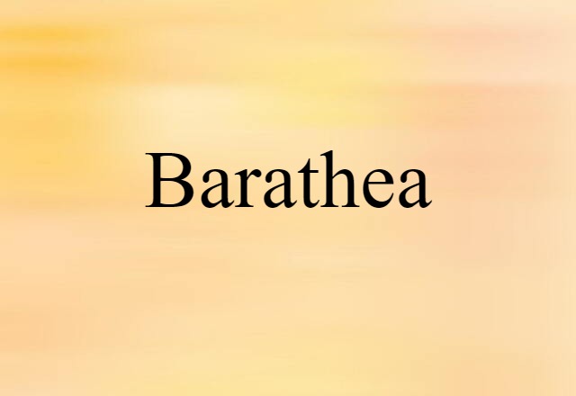 Barathea (noun) Definition, Meaning & Examples