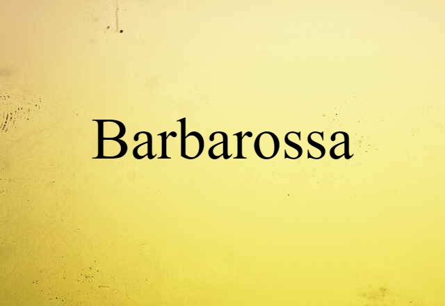 Barbarossa (noun) Definition, Meaning & Examples