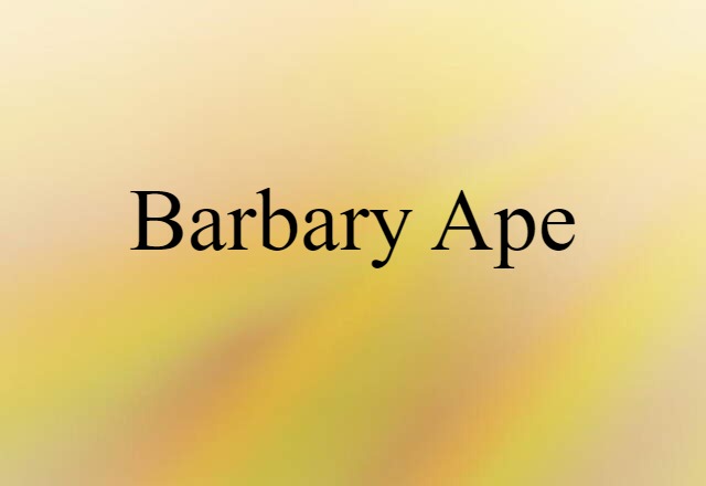 Barbary ape