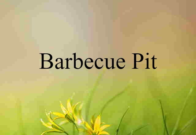 Barbecue Pit (noun) Definition, Meaning & Examples