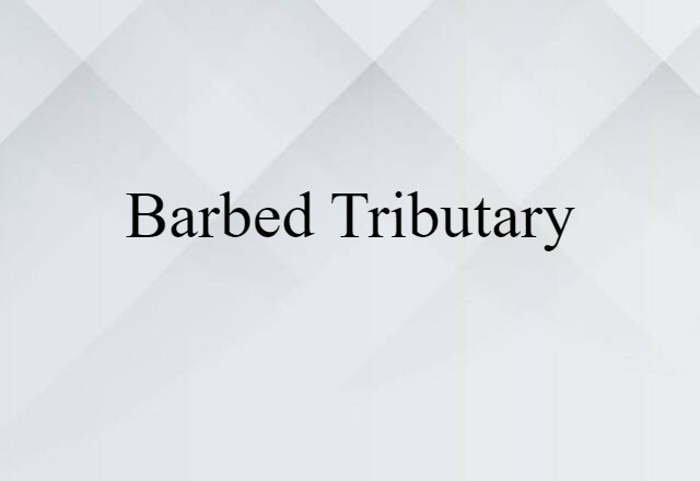 barbed tributary