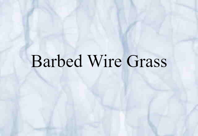 barbed wire grass