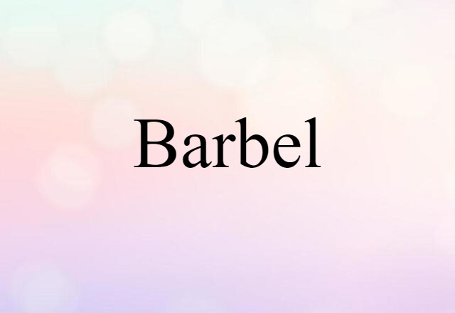 Barbel (noun) Definition, Meaning & Examples