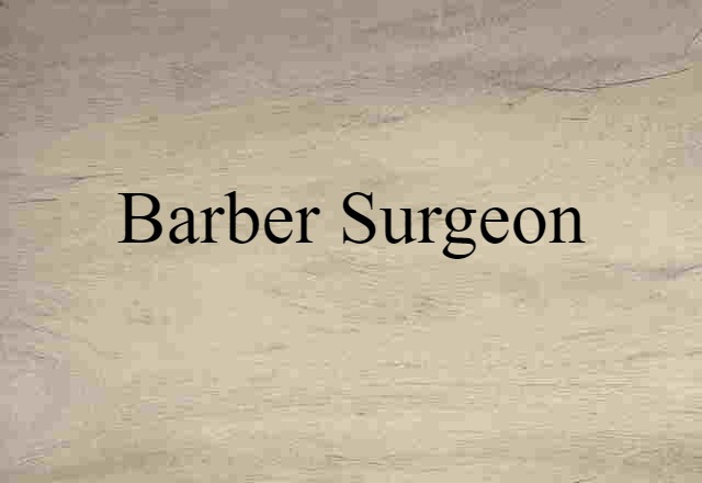 Barber-surgeon (noun) Definition, Meaning & Examples