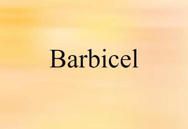 barbicel