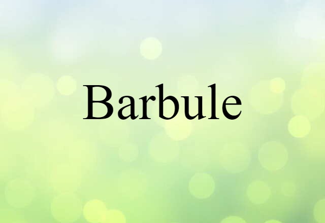 Barbule (noun) Definition, Meaning & Examples