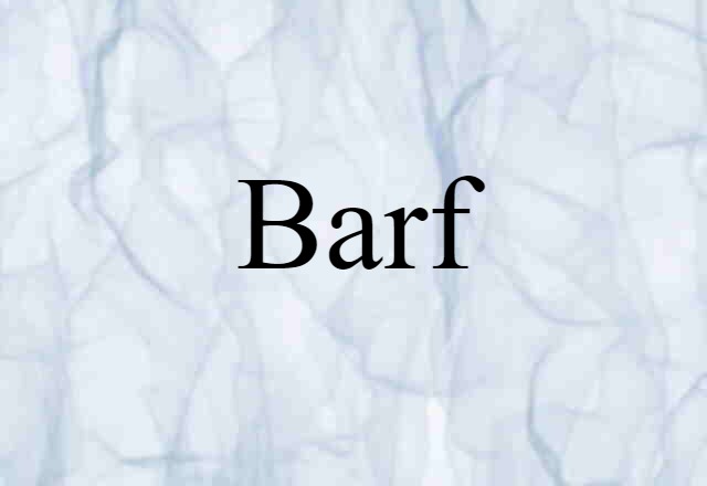 Barf (noun) Definition, Meaning & Examples