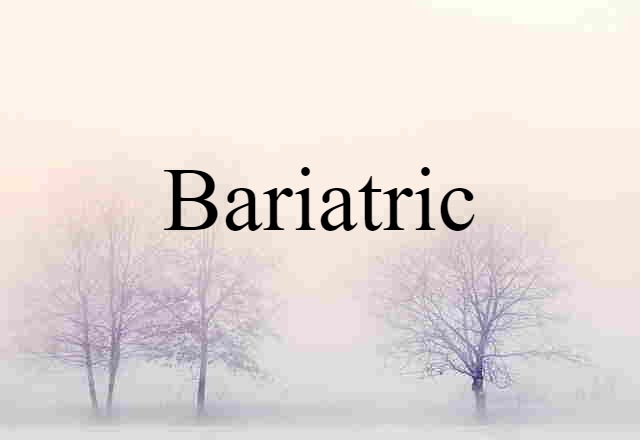 Bariatric (noun) Definition, Meaning & Examples