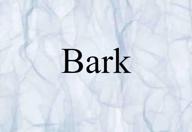 Bark (noun) Definition, Meaning & Examples