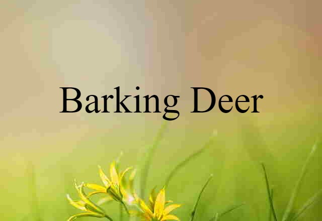 barking deer