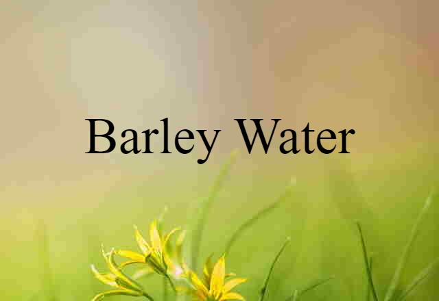 Barley Water (noun) Definition, Meaning & Examples