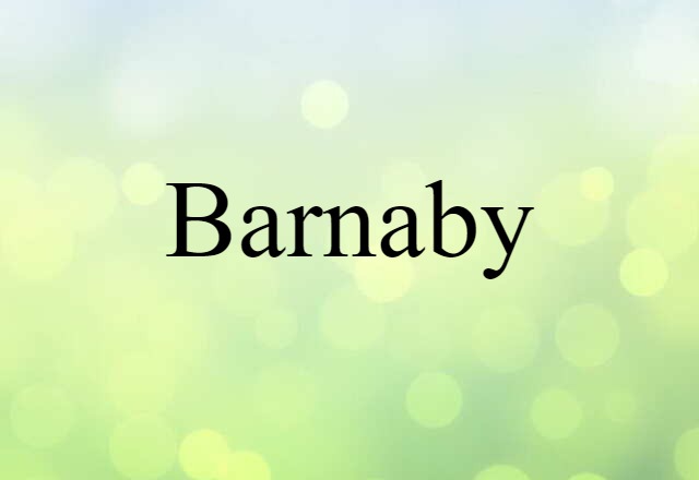 Barnaby (noun) Definition, Meaning & Examples