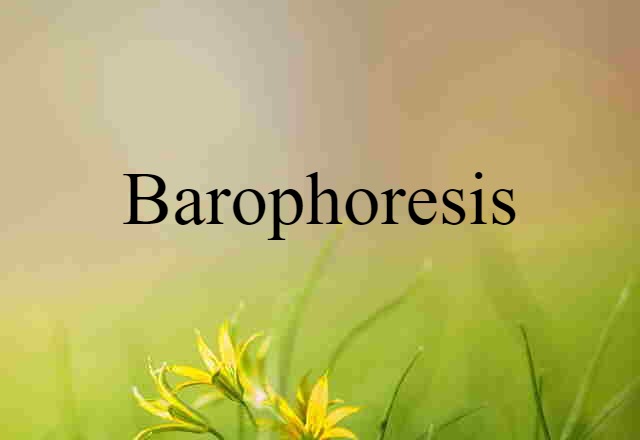 Barophoresis (noun) Definition, Meaning & Examples