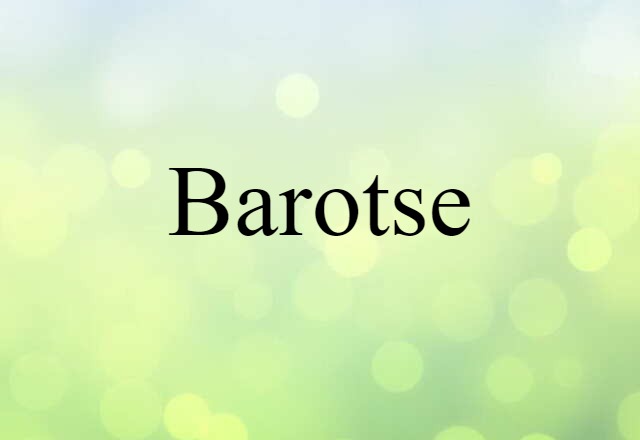 Barotse (noun) Definition, Meaning & Examples