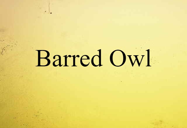 Barred Owl (noun) Definition, Meaning & Examples