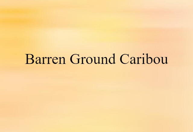 barren ground caribou