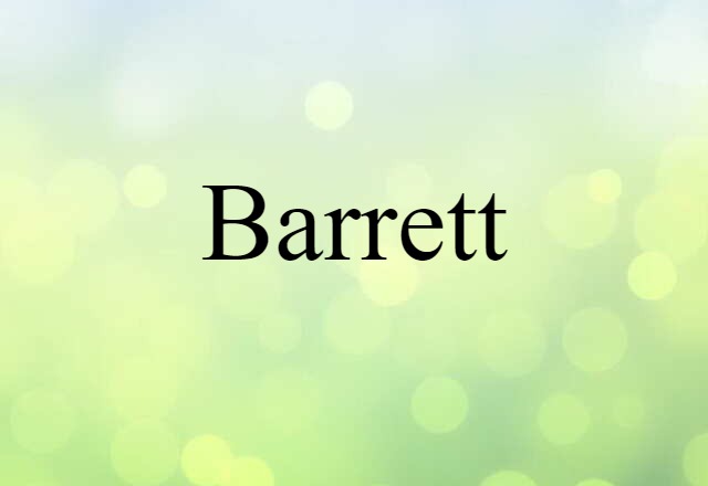 Barrett (noun) Definition, Meaning & Examples